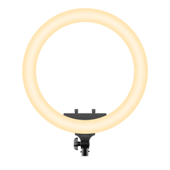 Rixus RXLG28 Ring Light 19 Inch