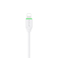 Rixus RXU81A Boost Datenkabel Lightning