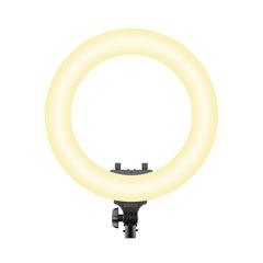Rixus RXLG29 Ringlicht 18 Zoll