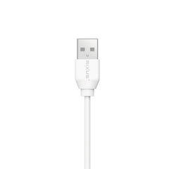 Rixus RX2017AC Datenkabel zum Synchronisieren und schnellen Laden USB auf Typ-C